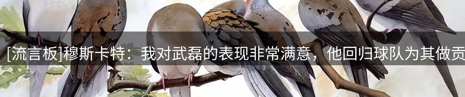 新闻快讯